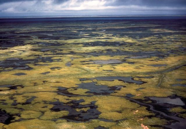 Yukon Delta - Aerial View Picture