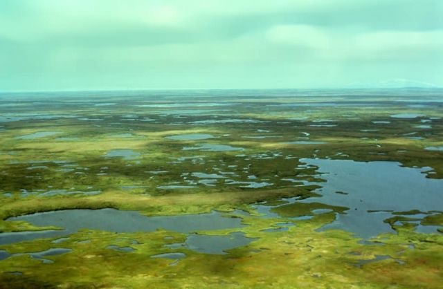 Yukon Delta Lakes Picture