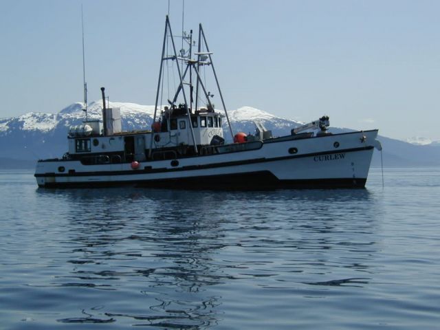 M/V Curlew in Howard Bay Picture