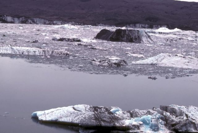 Bering Glacier Picture