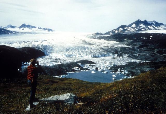 Harding Ice Field, Tustumena Glacier Picture