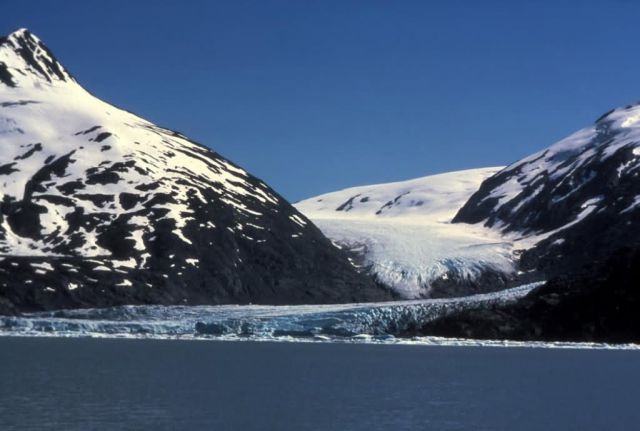Tidewater Glacier Picture