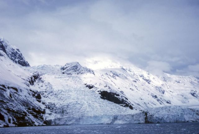 Tidewater Glacier in Prince William Sound Picture