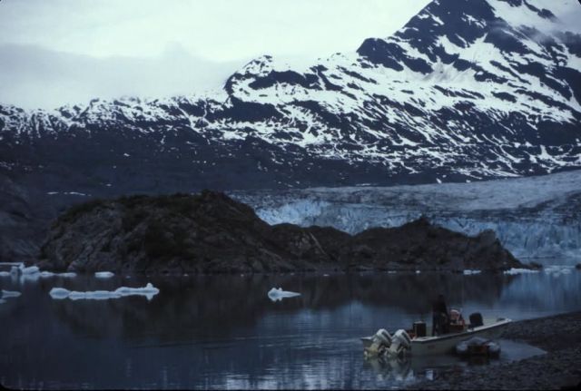 Shoup Glacier Picture