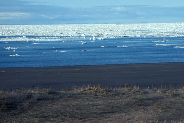 Espenberg Bay Sea Ice Picture