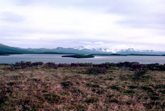Lake Becharof in Summer Picture