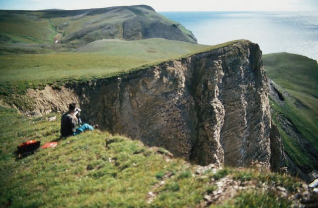 Cape Thompson, Biologist at Murre plot, August 1995 Picture