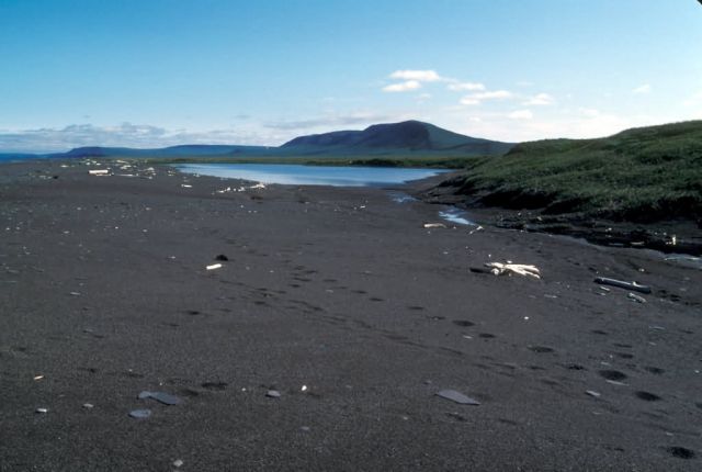 Cape Lisburne, Small coastal pond, August 1984 Picture
