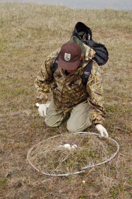 Avian Influenza Sampling Project 2006 Picture