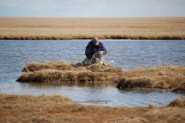 Avian Influenza Sampling Project 2006 Picture