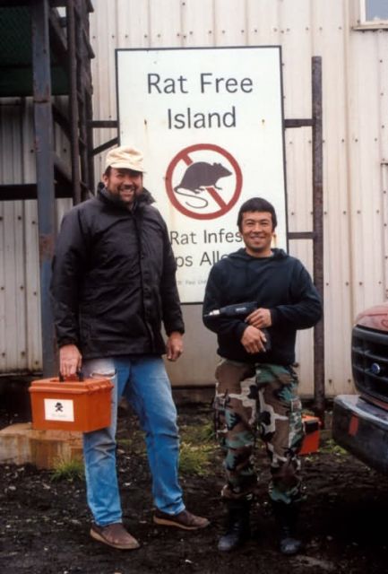 Pribilof rat prevention program Picture