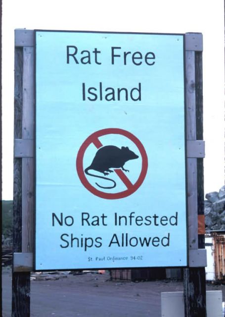 Rat-free island sign on St. Paul Island Picture