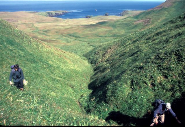 Rat Island, USFWS biologist Jeff Williams and Island Conservation employee Greg Howald Picture