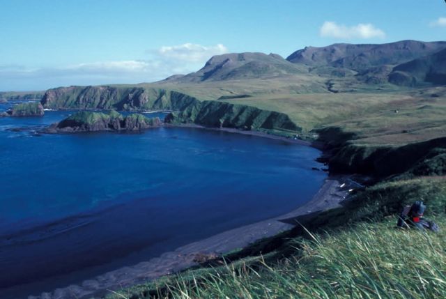 Rat Island, Aleutian Islands Picture