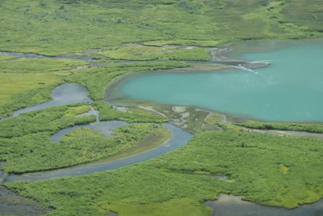 Togiak NWR 069 Picture