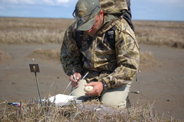 Avian Influenza Sampling Project 2006 Picture
