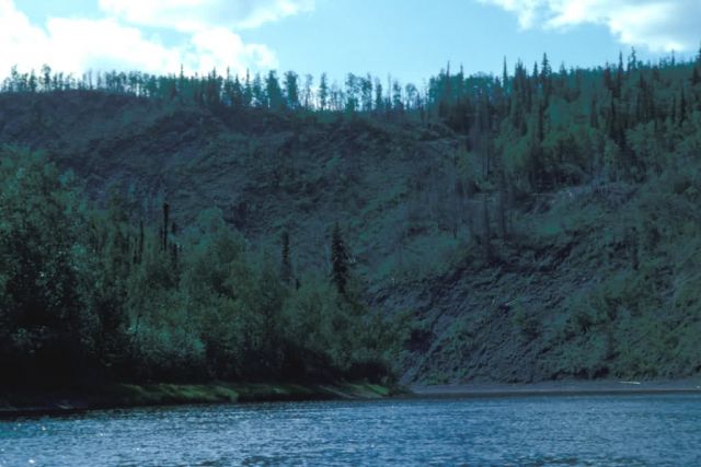Kanuti Canyon in Summer Picture