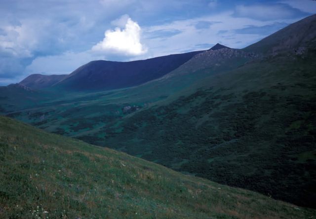 Hagemeister Island , south end 1983 Picture