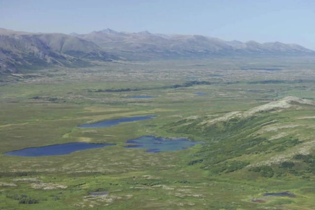 Togiak NWR 041 Picture
