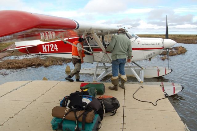 Avian Influenza Sampling Project 2006 Picture