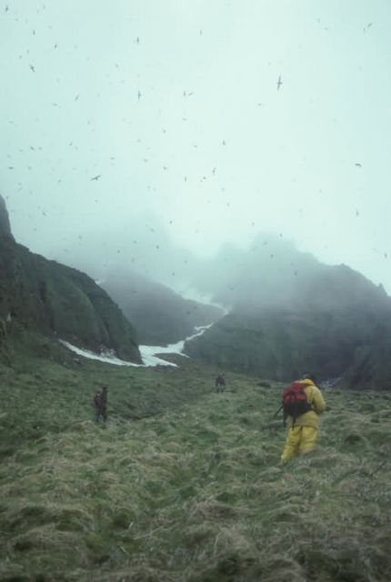 Chagulak Island Field crew, 1990 Picture