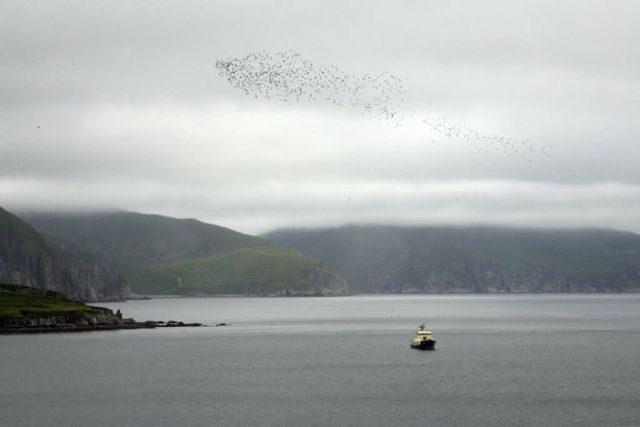 Shumagins, Big Koniuji Island with MV Tiglax Picture