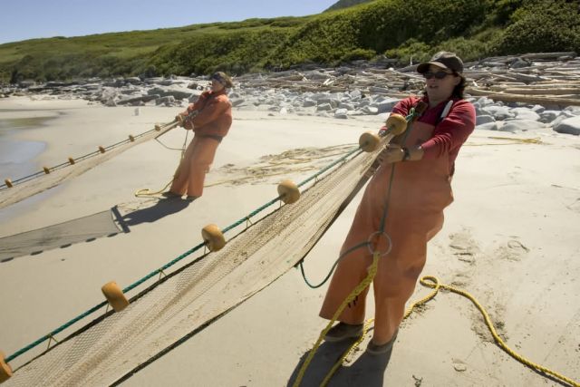 Shumagin Islands Forage fish research, big Koniuji Island Picture