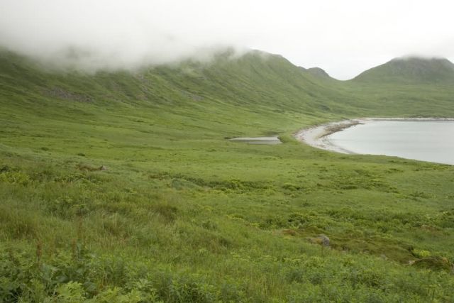 Shumagin Islands, Big Koniuji Island Picture