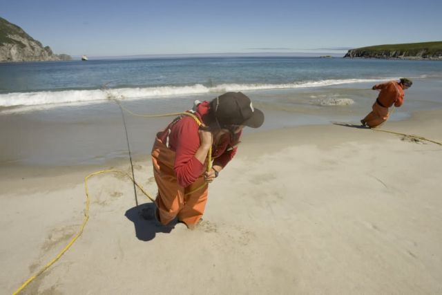 Forage fish research, Big Koniuji Island, Shumagins Picture