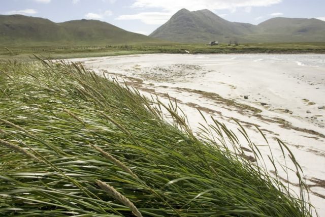 Simeonof island Picture