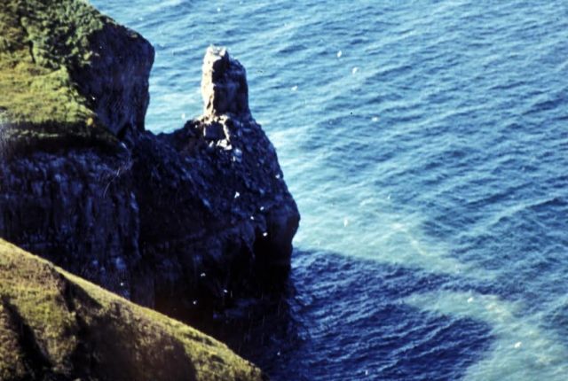 Cape Thompson, 1991 Picture