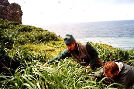 Bogoslof Island Bird Survey Crew Picture