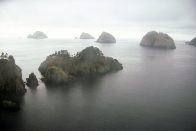 Chiswell Island Group, Gulf of Alaska, 1989 Picture