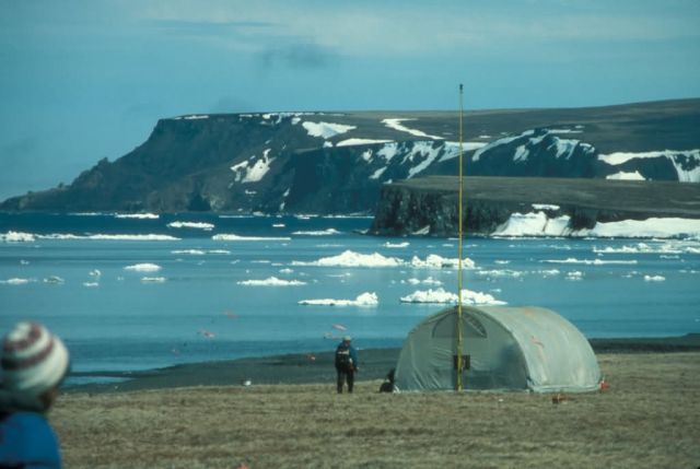 St. Matthew field camp, 1984 Picture