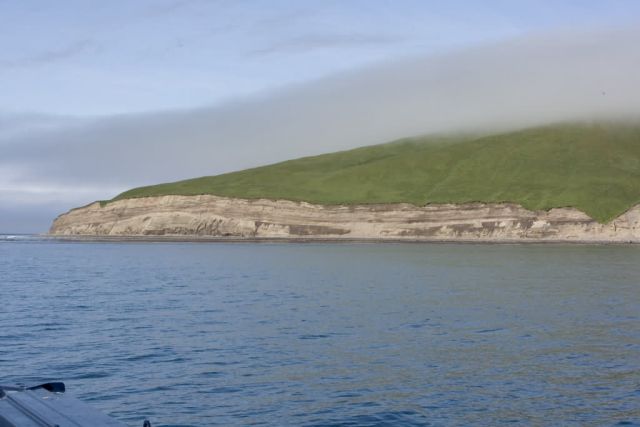 Kasatochi Island bluffs, Andreanof Islands Picture