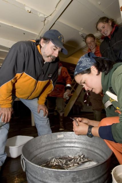 Forage fish research, Shumagin Islands Picture