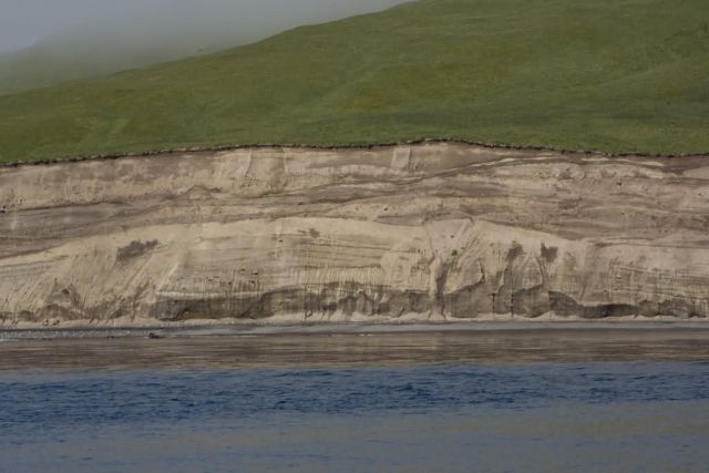 Kasatochi Island bluffs Picture