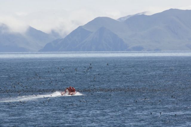 Kasatochi Island, MV Tiglax crew and scientist Picture