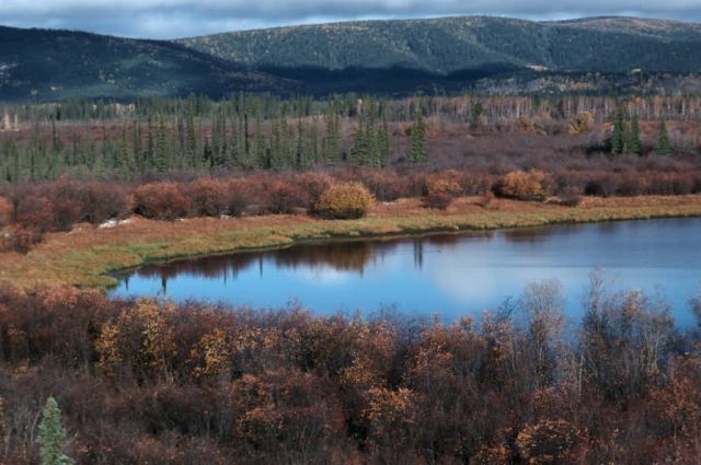 Tetlin National Wildlife Refuge Picture