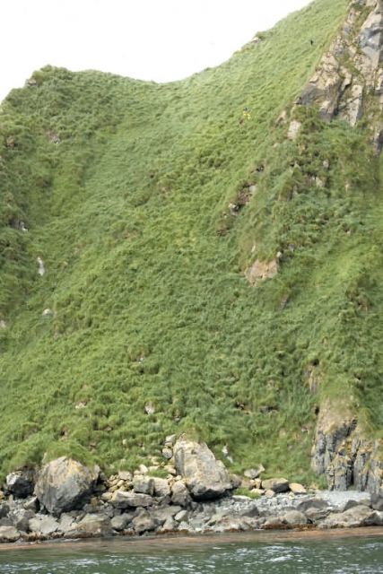Ulak Island Picture