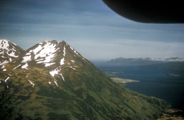Kodiak Picture