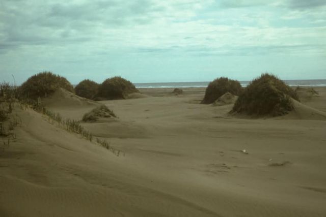 Sand Dunes on Nunivak Island Picture