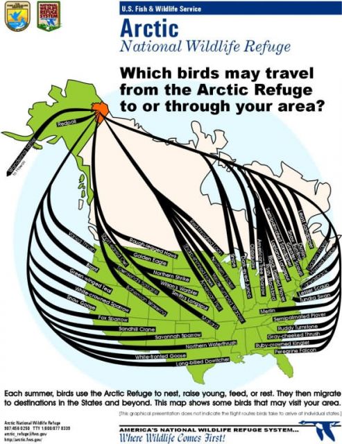 Information map: Arctic Refuge birds to 50 states Picture