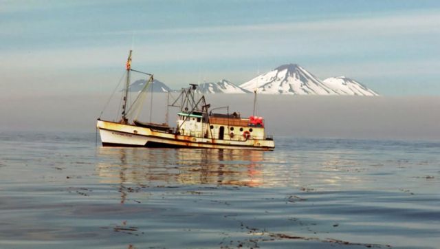 M/V Aleutian Tern Picture