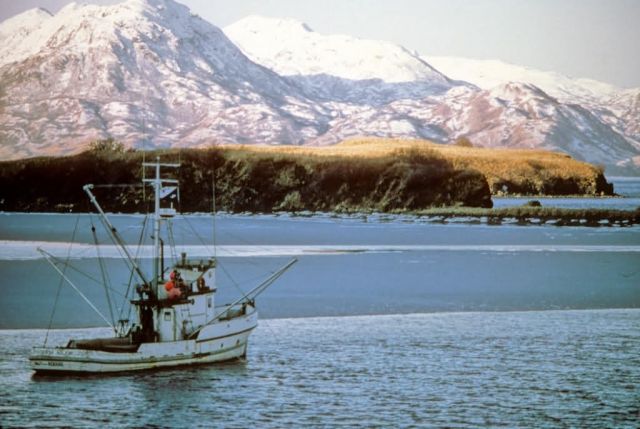 M/V Ursa Major Picture