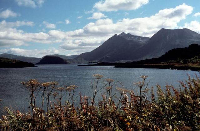 Kodiak Refuge Scenic Picture