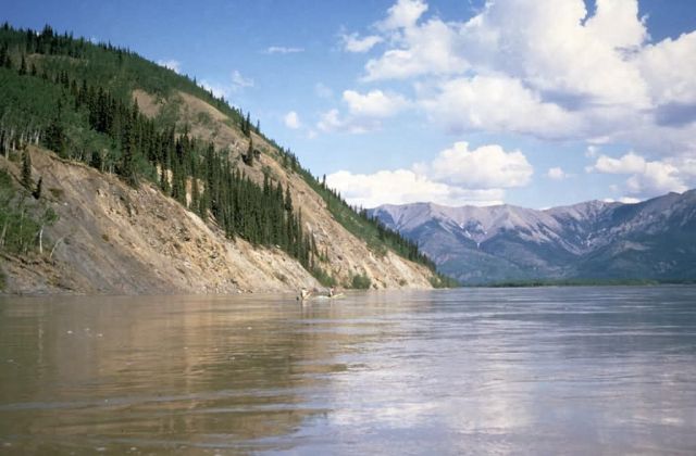 Canoeing the Yukon River Picture