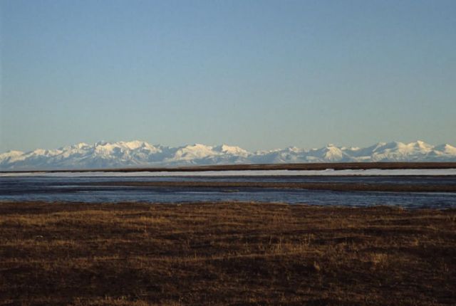 Brooks Range Picture