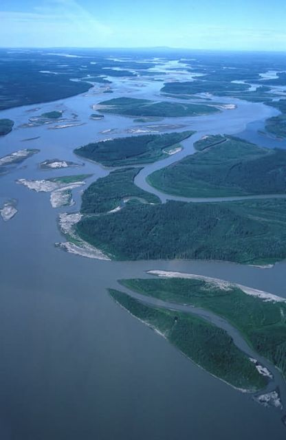 Yukon River in Summer - Aerial View Picture