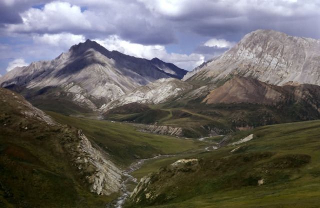 South Slope Brooks Range in Summer Picture